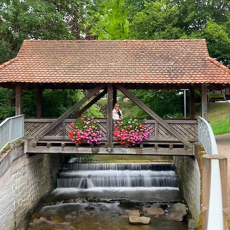 Ferienwohnung Haffner Kandern Esterno foto